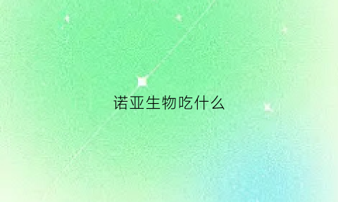 诺亚生物吃什么