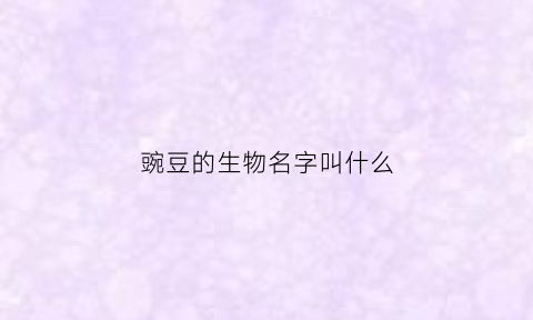 豌豆的生物名字叫什么(豌豆的生物学特性)