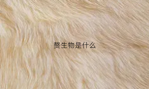 赘生物是什么