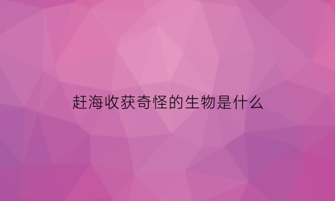 赶海收获奇怪的生物是什么(赶海的时候还会遇到什么)