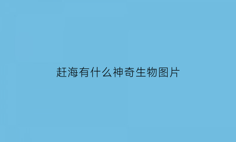 赶海有什么神奇生物图片(赶海真有意思)