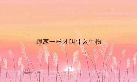 跟葱一样才叫什么生物(跟葱一样的叫什么)