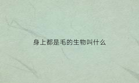 身上都是毛的生物叫什么(身上都是毛的生物叫什么名字)