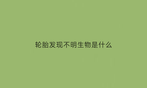 轮胎发现不明生物是什么(轮胎在出现问题怎么办)
