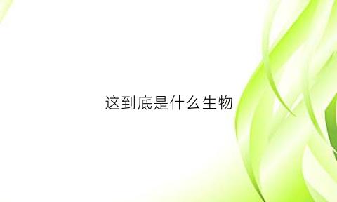 这到底是什么生物(这到底是什么动物)