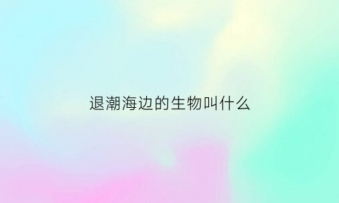 退潮海边的生物叫什么(退潮后海边有什么生物)