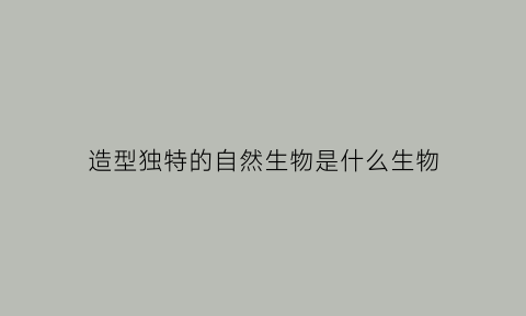 造型独特的自然生物是什么生物