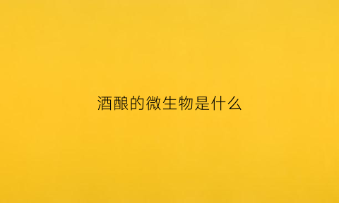 酒酿的微生物是什么(酒酿的微生物是什么菌)