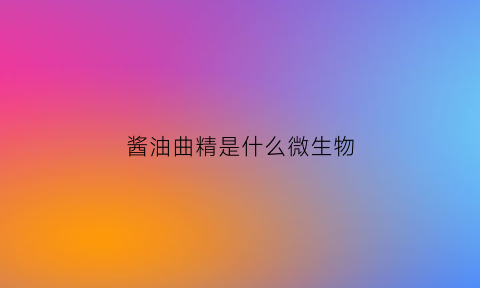 酱油曲精是什么微生物(酱油曲精哪里买得到)