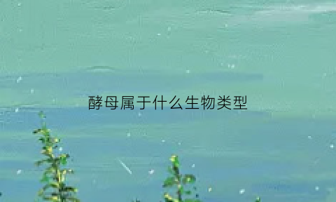 酵母属于什么生物类型(酵母属于什么生物类型)