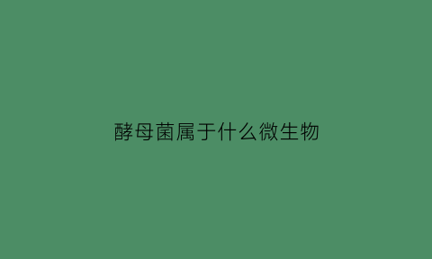 酵母菌属于什么微生物(酵母菌属于什么细菌)