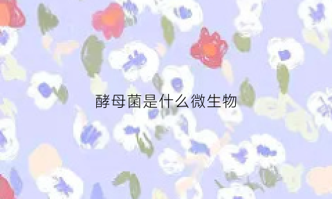 酵母菌是什么微生物(酵母菌是一种什么微生物)