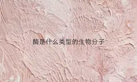 酶是什么类型的生物分子(酶是生物体内的一种特殊的什么)