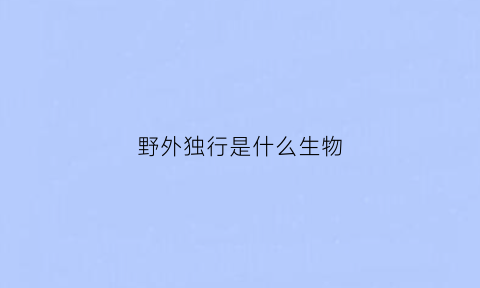 野外独行是什么生物(野外独行猜生肖)