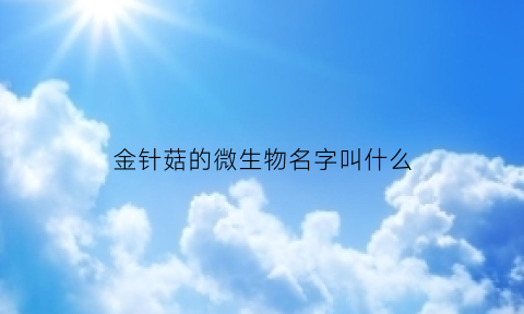 金针菇的微生物名字叫什么(金针菇的构成)