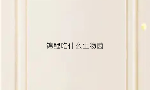 锦鲤吃什么生物菌(锦鲤吃什么鱼食长得快)