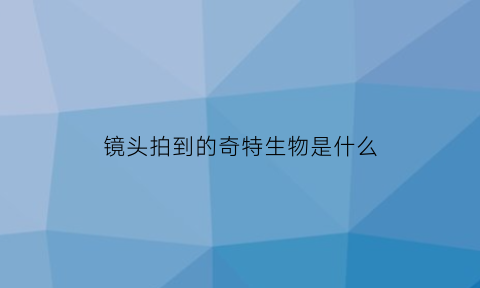 镜头拍到的奇特生物是什么(镜头拍到的神秘生物)