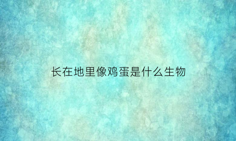长在地里像鸡蛋是什么生物(长在地里的蛋)