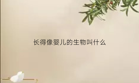 长得像婴儿的生物叫什么(长得像婴儿的怪物电影)