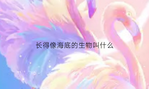 长得像海底的生物叫什么(长得像海底的生物叫什么名字)