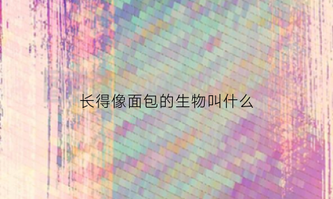 长得像面包的生物叫什么(长得像面包虫的虫)