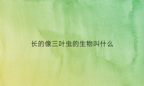 长的像三叶虫的生物叫什么