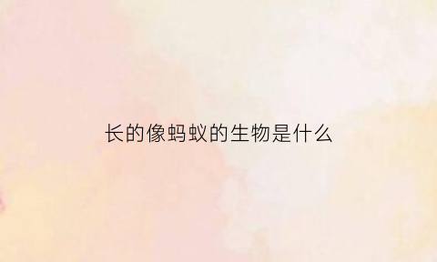 长的像蚂蚁的生物是什么