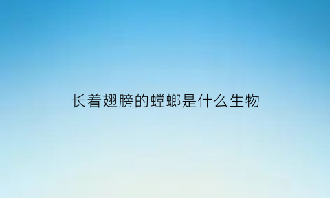 长着翅膀的螳螂是什么生物(有翅膀的螳螂)