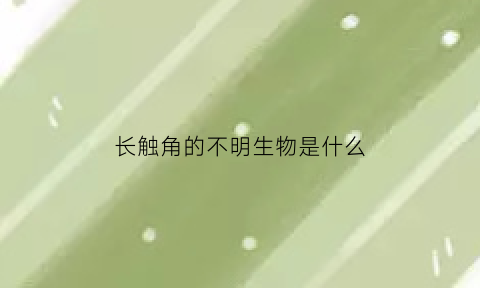 长触角的不明生物是什么(长触角的海洋生物)