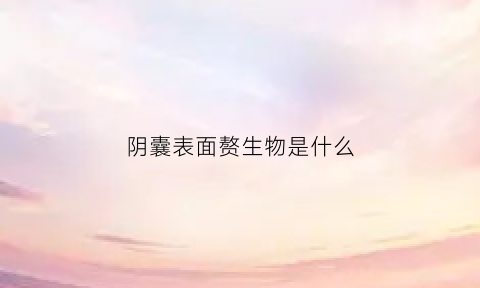 阴囊表面赘生物是什么(阴囊表面赘生物是什么东西)