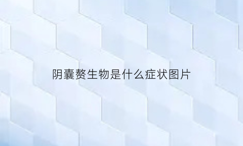 阴囊赘生物是什么症状图片(阴囊长赘生物是什么病)
