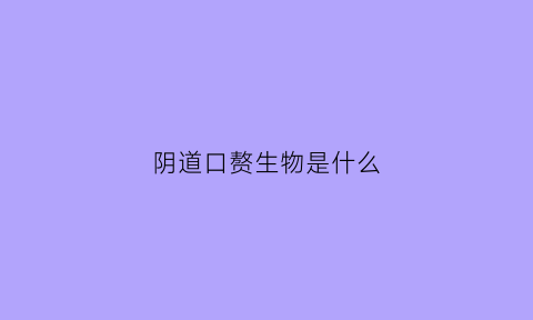 阴道口赘生物是什么(宫颈口赘生物是什么东西严重吗)