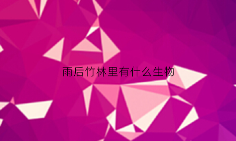 雨后竹林里有什么生物(雨后竹林的含义是什么)