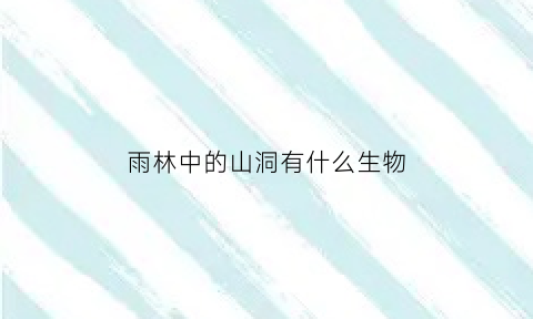 雨林中的山洞有什么生物(雨林中的山洞有什么生物类型)