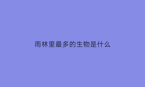 雨林里最多的生物是什么(雨林里都有什么生物)