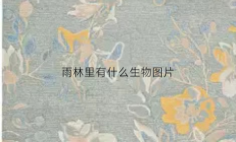 雨林里有什么生物图片(雨林里有什么生物图片大全)