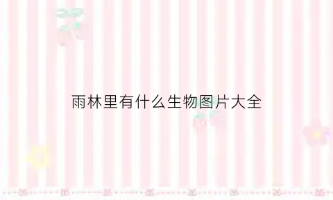 雨林里有什么生物图片大全(雨林里有哪些东西)