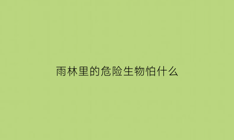 雨林里的危险生物怕什么(雨林中的危险动物)