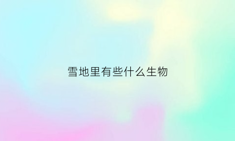 雪地里有些什么生物(雪地里面有那些小动物)