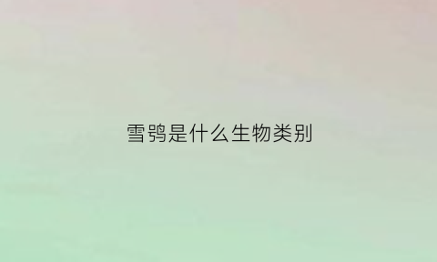 雪鸮是什么生物类别(雪鸮是什么生物类别的动物)