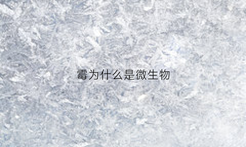 霉为什么是微生物(霉是一种微生物在空气土壤海洋和食物中都能找到他)