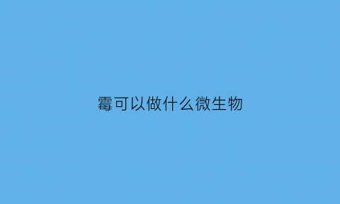 霉可以做什么微生物(利用霉菌可以干什么)