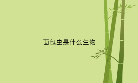 面包虫是什么生物