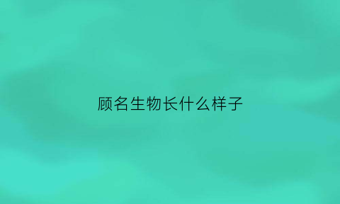 顾名生物长什么样子(顾名字)