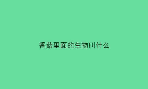 香菇里面的生物叫什么