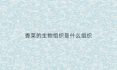 香菜的生物组织是什么组织(香菜植物学名)