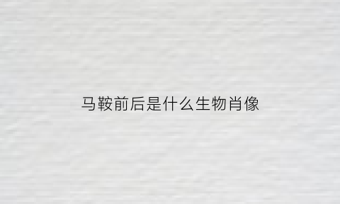 马鞍前后是什么生物肖像(鞍前马后的什么)