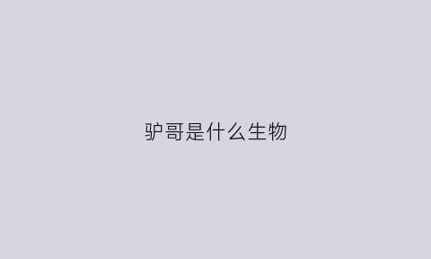 驴哥是什么生物(驴是指什么)