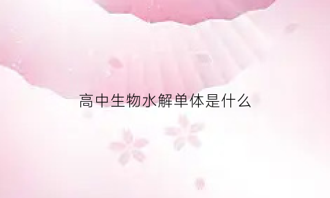 高中生物水解单体是什么