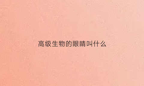 高级生物的眼睛叫什么(高级生物的眼睛叫什么名称)
